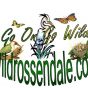 wildrossendale.co.uk